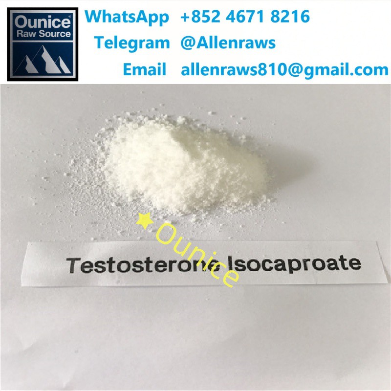Buy Testosterone Isocaproate Chinese High-purity Steroid Powder